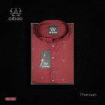 Premium Panjabi P4004
